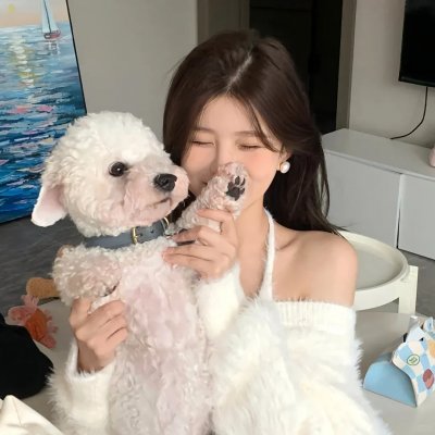 十三条命